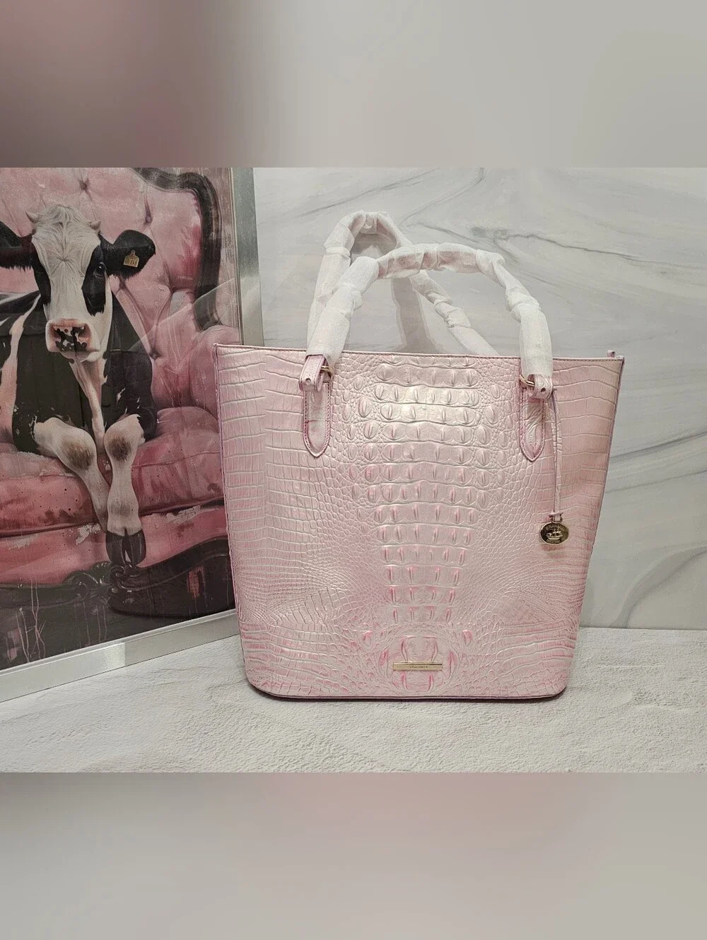 RARE NWT Brahmin Ezra Rose Water Melbourne 3 Eyes On Tote + Heart Pouch Set